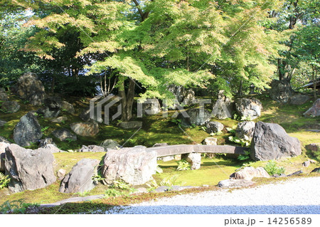 圓徳院 圓徳院 14256589