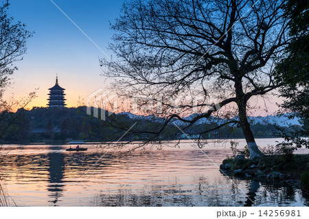 Black trees silhouette and traditional Chinese pagoda 14256981