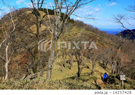丹沢山への縦走路と登山者 丹沢山への縦走路と登山者 14257426