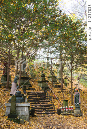 円山原始林登山道入り口 円山原始林登山道入り口 14257838