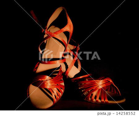 Latin and salsa dance shoes for ladies   14258552