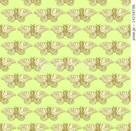Sketch moth incect in vintage style 14258796