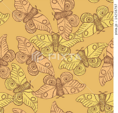 Sketch moth incect in vintage style Sketch moth incect in vintage style 14258797
