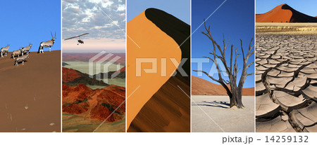 Namib Desert - Namibia 14259132