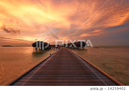 Sunset at Maldivian beach Sunset at Maldivian beach 14259402