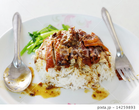 Roasted duck with rice Roasted duck with rice 14259893