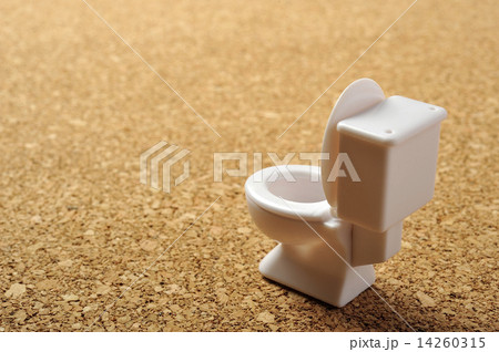洋式トイレのイメージ 14260315