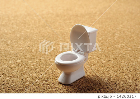 洋式トイレのイメージ 14260317