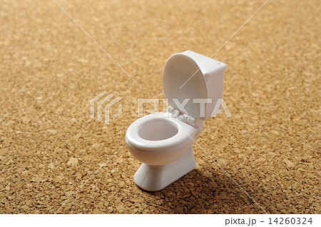 洋式トイレのイメージ 14260324