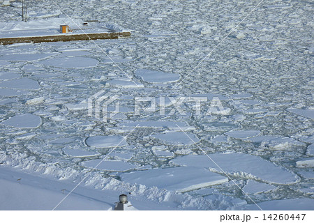 流氷　 斜里　海　冬　冬季　北海道　知床　網走　港　湾　接岸　2015　晴れ　雪 14260447
