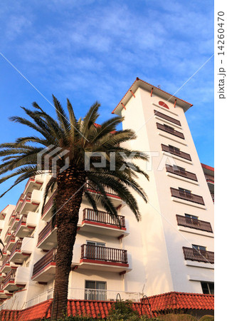 逗子マリーナの朝 14260470