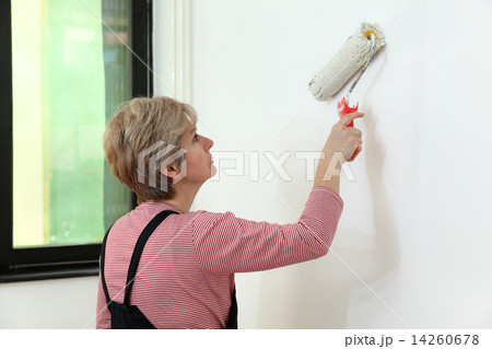 Worker painting  in a room, home renovation 14260678