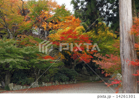 11月秋 紅葉の両子寺 ふたごじ 九州の秋景色の写真素材