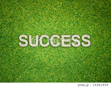 success word made from flowers on green grass background success word made from flowers on green grass background 14261959