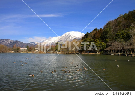 三島池と伊吹山 三島池と伊吹山 14262093