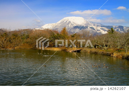 三島池と伊吹山 三島池と伊吹山 14262107