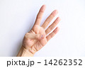 ４を示す手 14262352