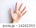 ５を示す手 14262353