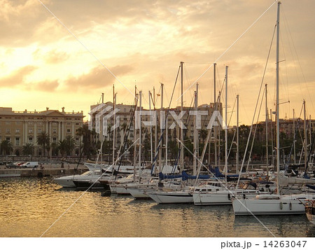 バルセロナ　ヨットハーバー 14263047