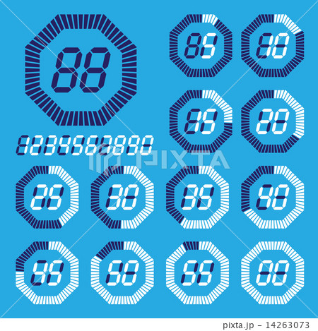 Octagon digital timer, lcd, vector Illustration   14263073