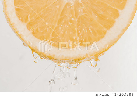 グレープフルーツ グレープフルーツ 14263583