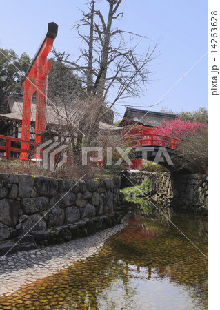 下賀茂神社境内 14263628