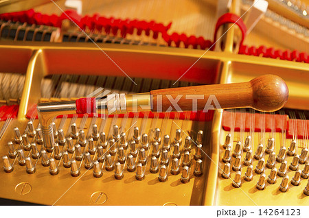 ピアノ 14264123