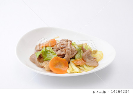 お皿にもった 肉野菜炒め おかず 白背景の写真素材