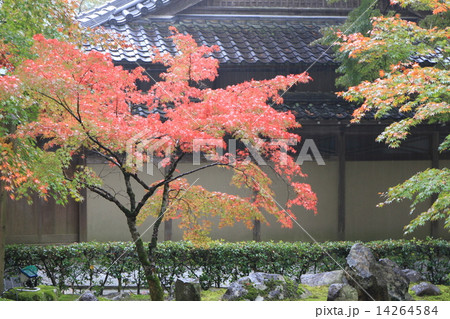 永源寺 永源寺 14264584