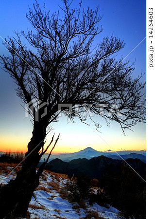 丹沢・蛭ヶ岳山頂から見る残照の富士山 丹沢・蛭ヶ岳山頂から見る残照の富士山 14264603