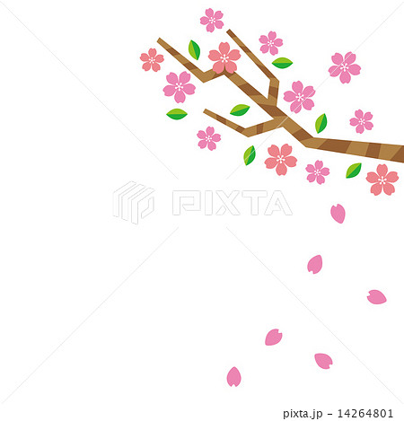 桜 さくら サクラ 花 枝のイラスト素材