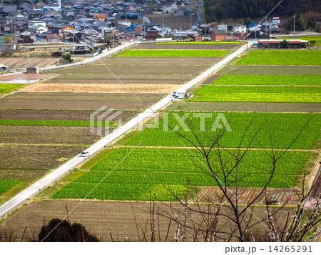 兵庫県　たつの市の風景 14265291