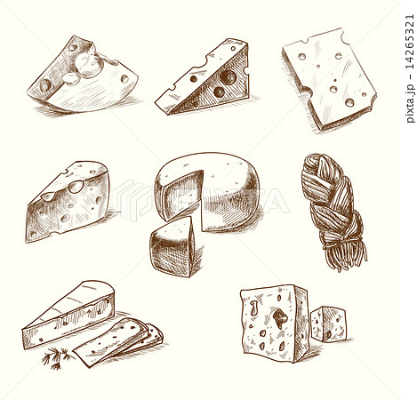 Hand Drawn Doodle Sketch Cheese With Different のイラスト素材