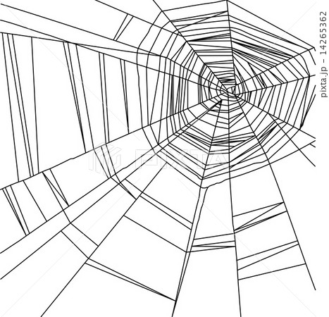 Black spider web isolated on the  white background 14265362