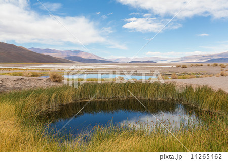 Northern Argentina 14265462