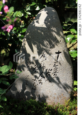 落柿舎 14266142