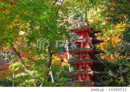 武蔵国分寺七重塔 14266512