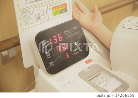 ミドルポートレート 14266559