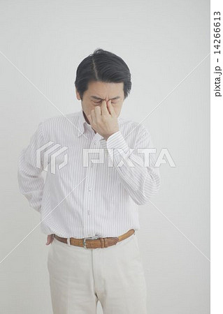 ミドルポートレート 14266613