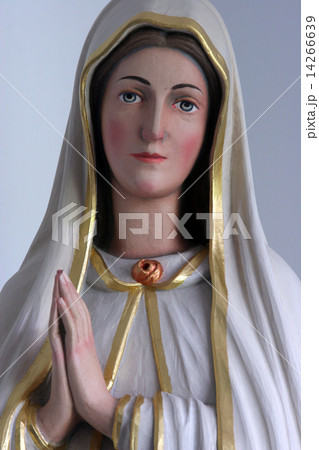 Virgin Mary Virgin Mary 14266639