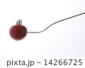 フォークに刺さったトマト 14266725