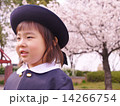 桜並木　幼児 14266754