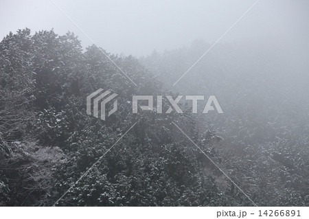 雪景色 14266891