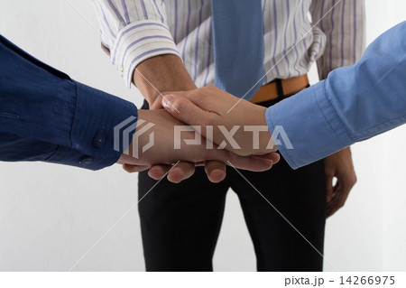 International Business International Business 14266975