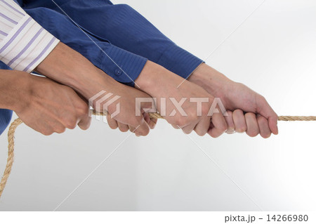 International Business 14266980