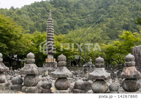 化野念仏寺の新緑 14267860