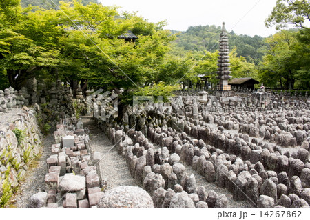 化野念仏寺の新緑 化野念仏寺の新緑 14267862