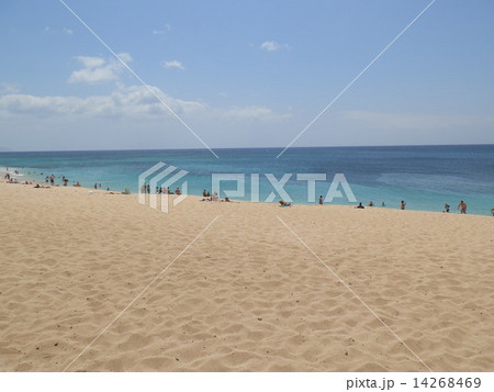 海と浜辺 14268469