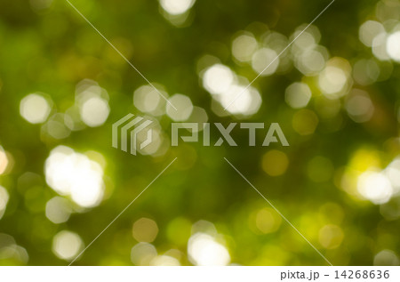 Abstract nature blur Abstract nature blur 14268636