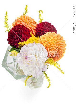 Bouquet of dahlias Bouquet of dahlias 14269146